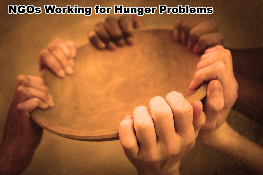 Ngos Working for Hunger Problems